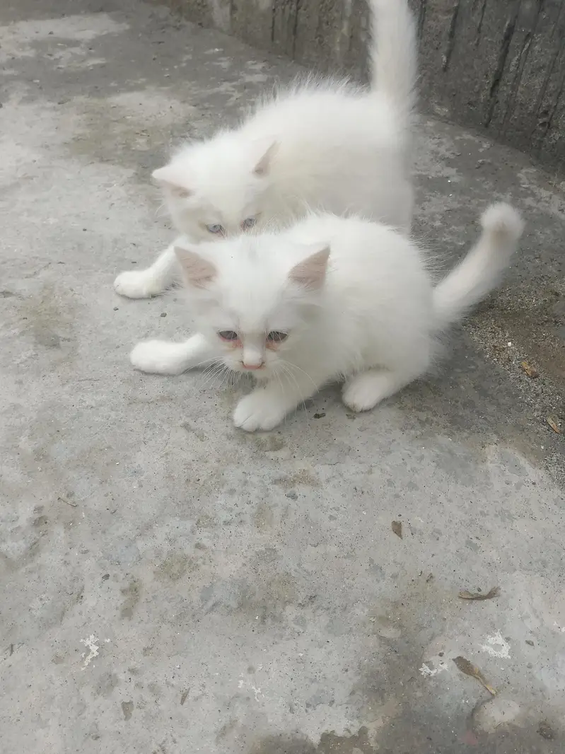 Female with Two children — photo 2