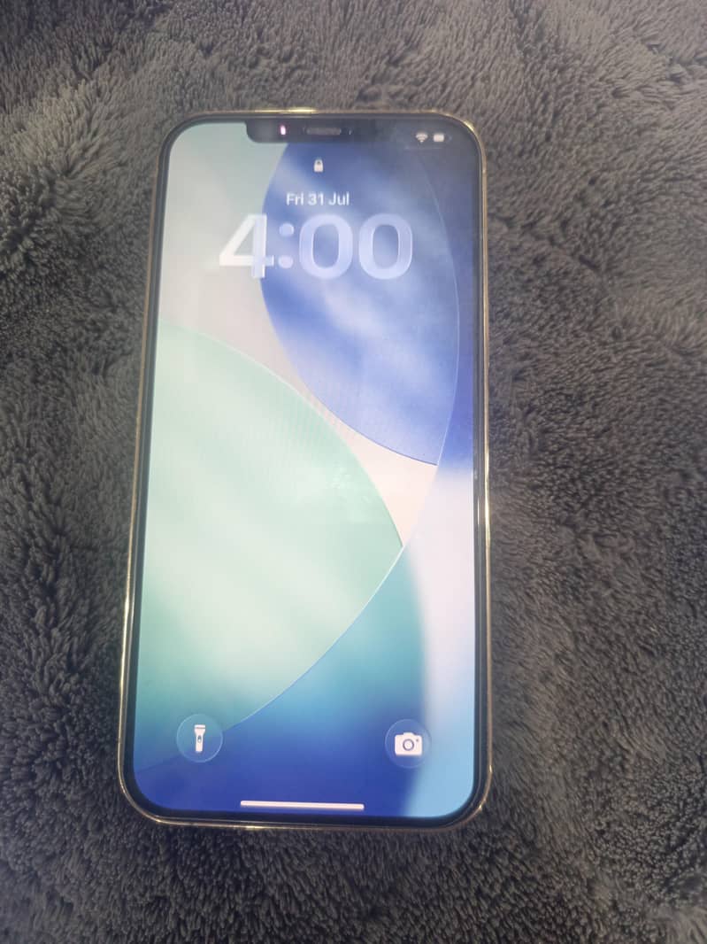 Apple iPhone 12 Pro Max 2