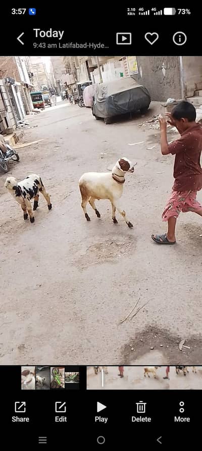 MashaAllah bilkul active he. 03108023719 only coll onlyy serious byner