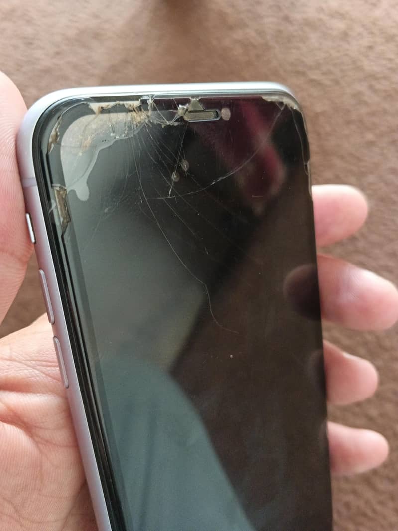 Apple iPhone 11 2