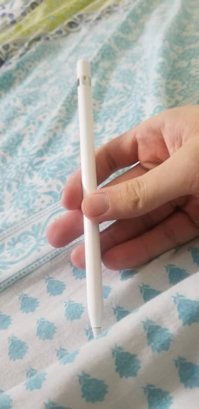Apple pencil 1st gen and ipad 9th gen