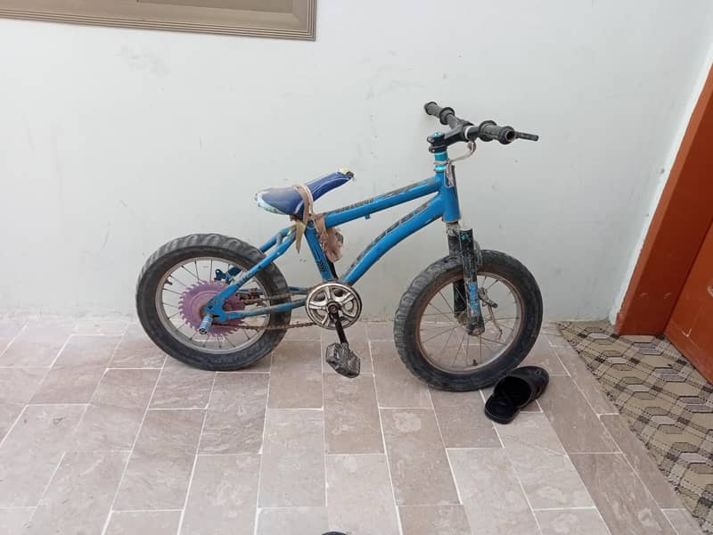 cycle 0