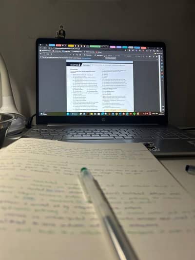 Assignment Writing