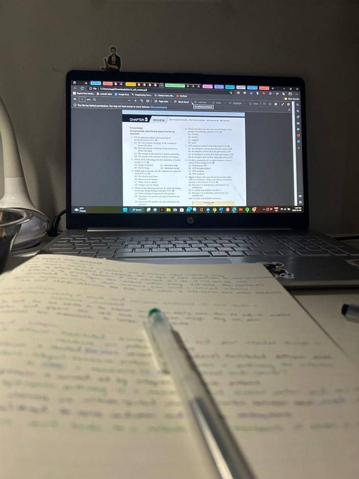Assignment Writing 0