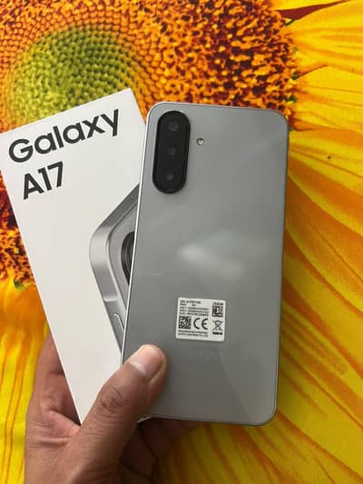 samsung A17.8. 256 2 muntah use pta aprood