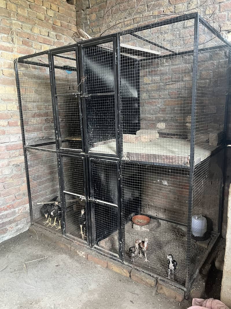 Han cages 0