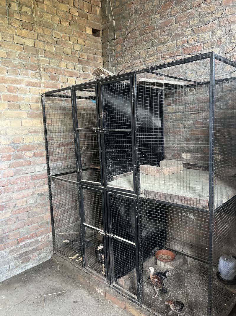 Han cages 2