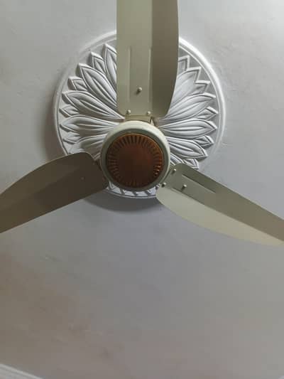 Gfc fans (off white color)