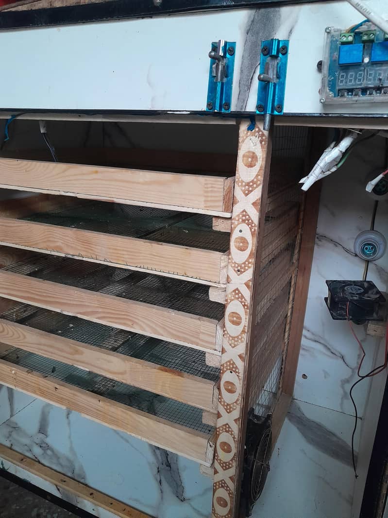 incubator 3