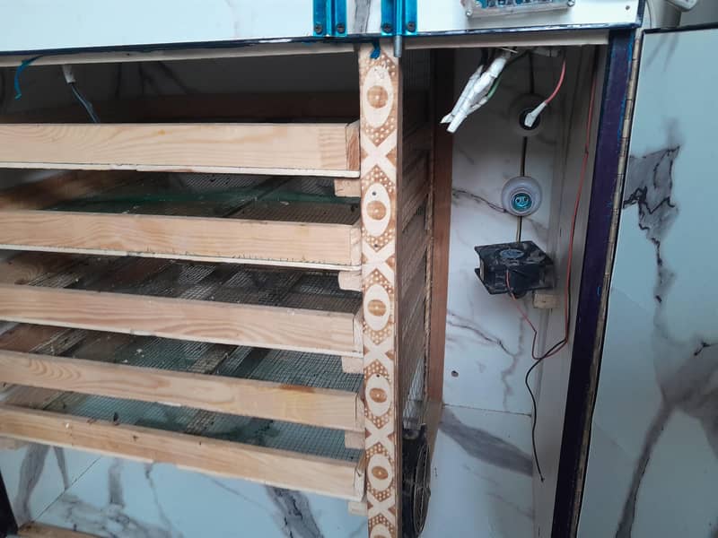 incubator 4