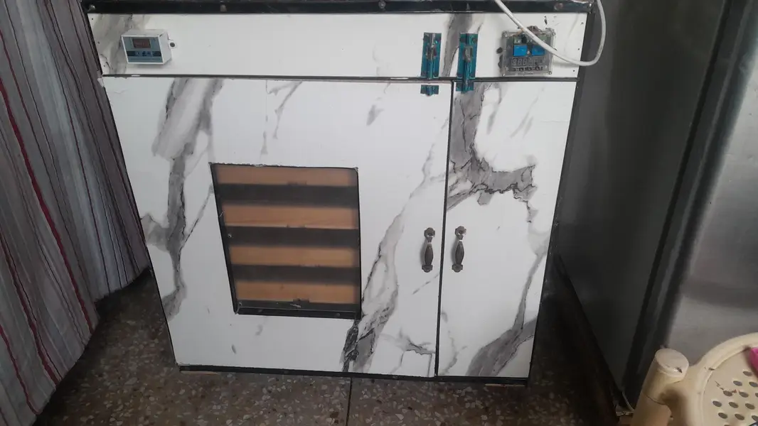incubator — photo 6
