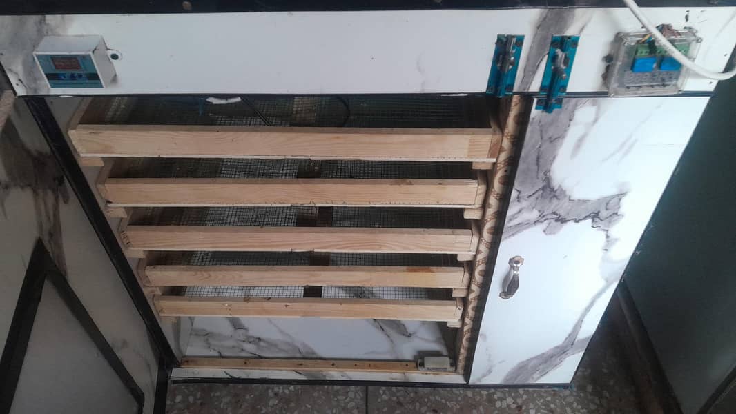 incubator 6
