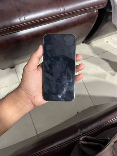 Apple iPhone 12 Pro Max