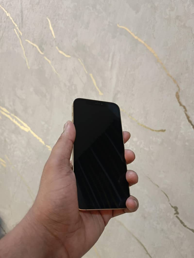 Apple iPhone 12 Pro 1