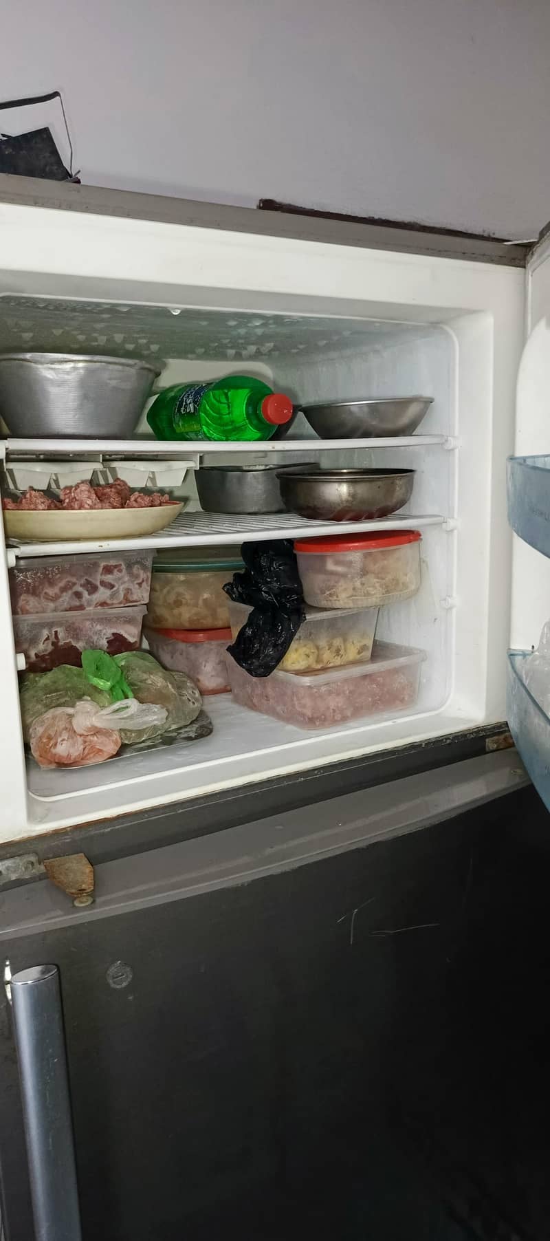 Electrolux Fridge 3