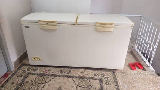 Waves double door large freezer