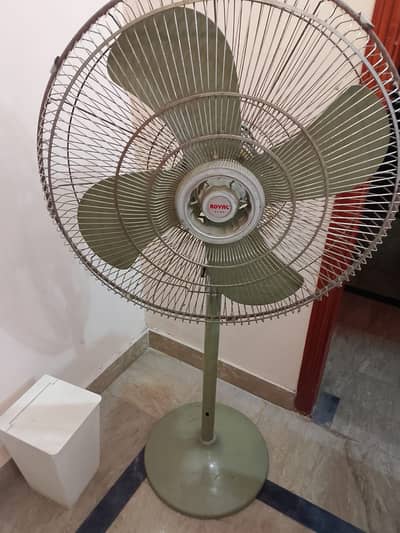 Royal fan