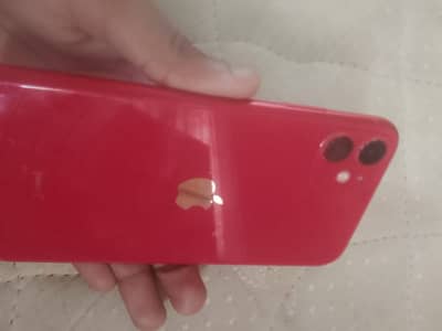 Apple iPhone 11 jv