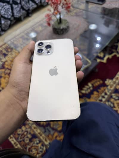 Apple iPhone 12 Pro Max
