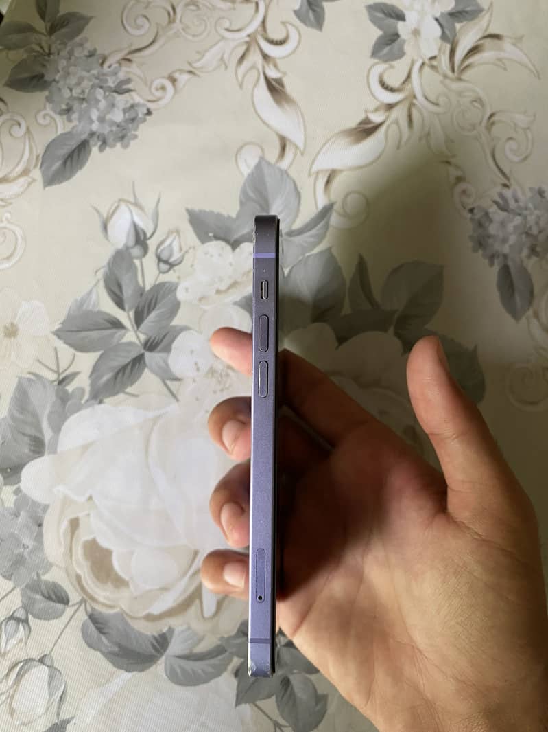 Apple iPhone 12 1