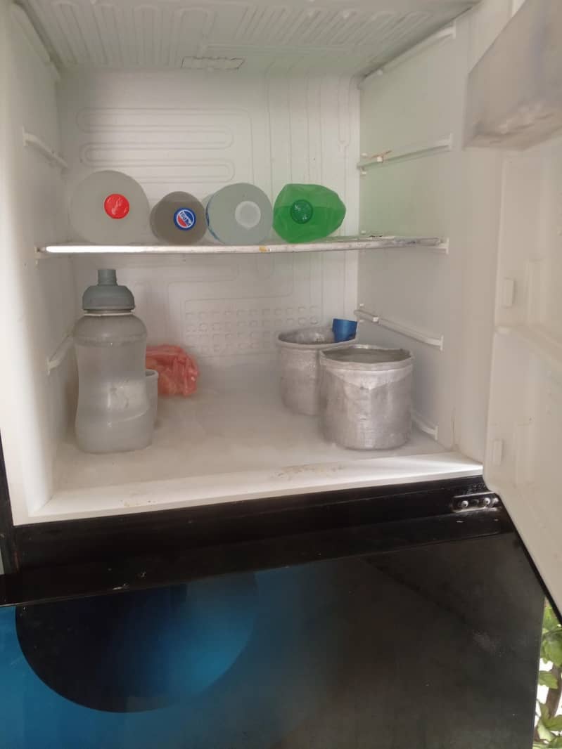 freezer 1