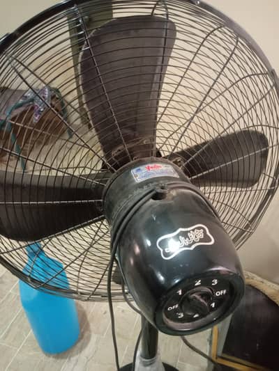 Pedestal Fan