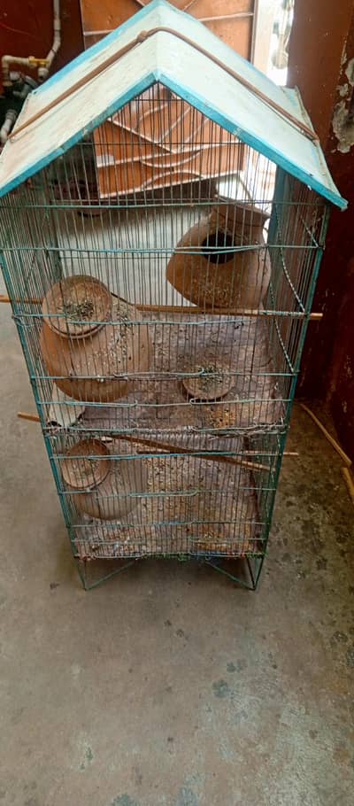 Birds Cage Iron