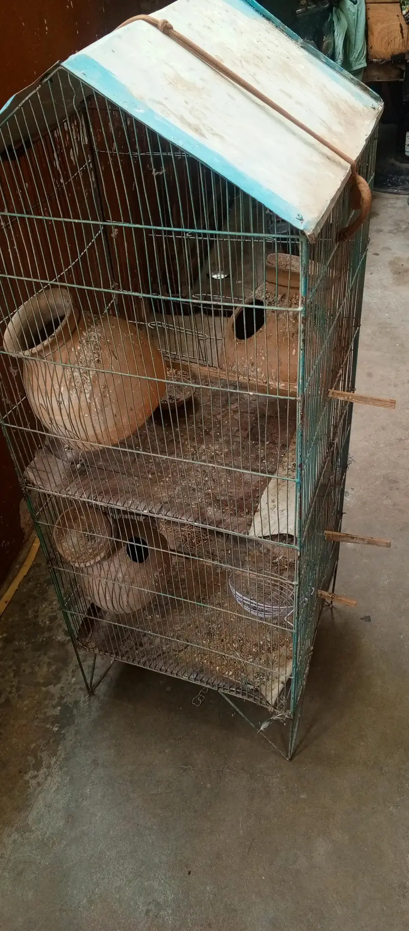 Birds Cage Iron — photo 2