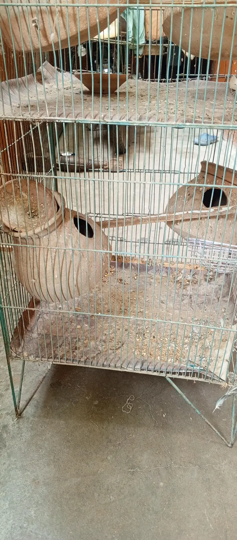 Birds Cage Iron — photo 3