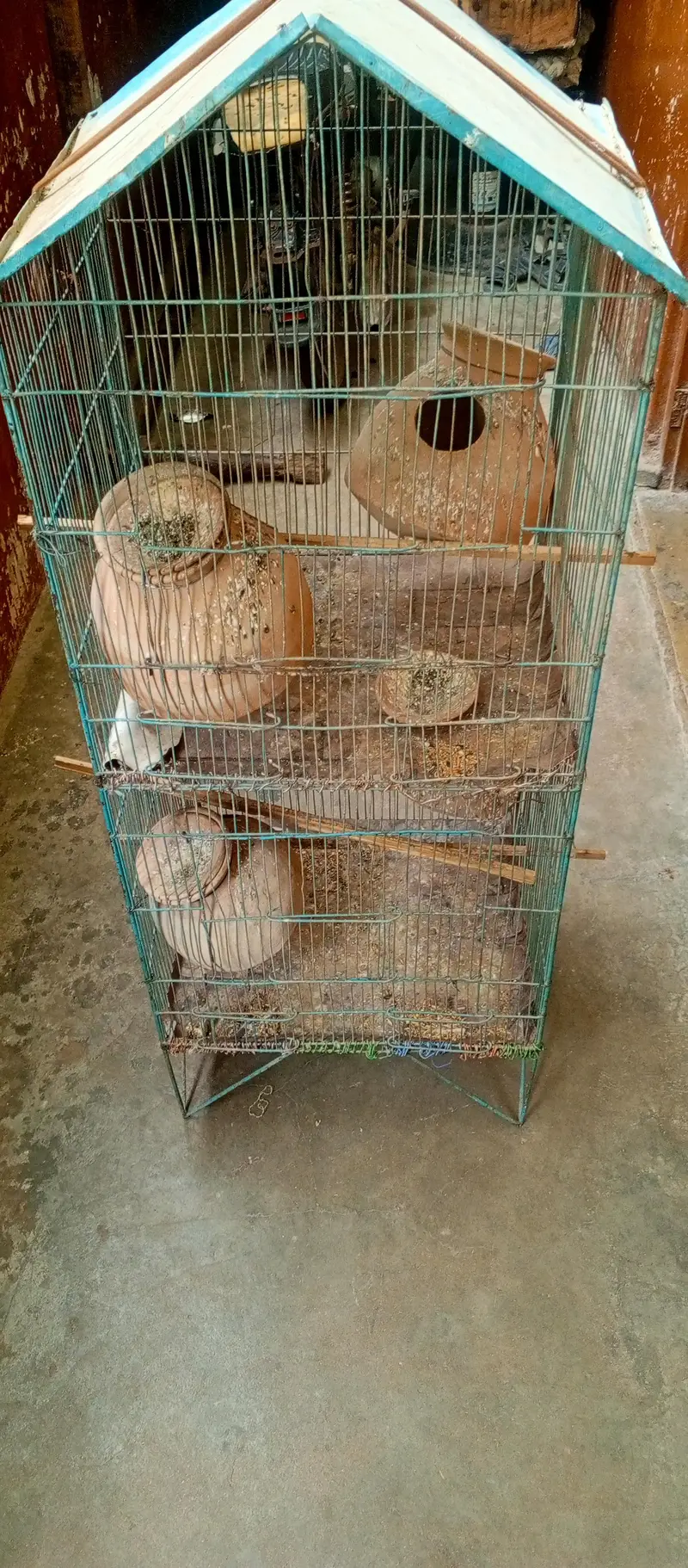 Birds Cage Iron — photo 4