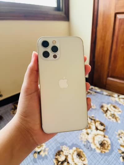 Apple iPhone 12 Pro