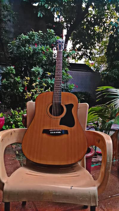guitar, Original Ibanez 42inch Guitar, professional guitar, accoustic