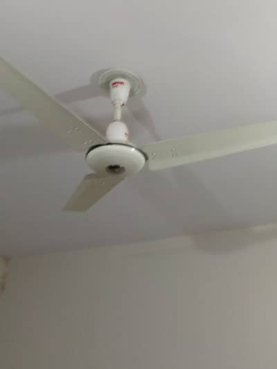 2 sealing Pakfan  for sale