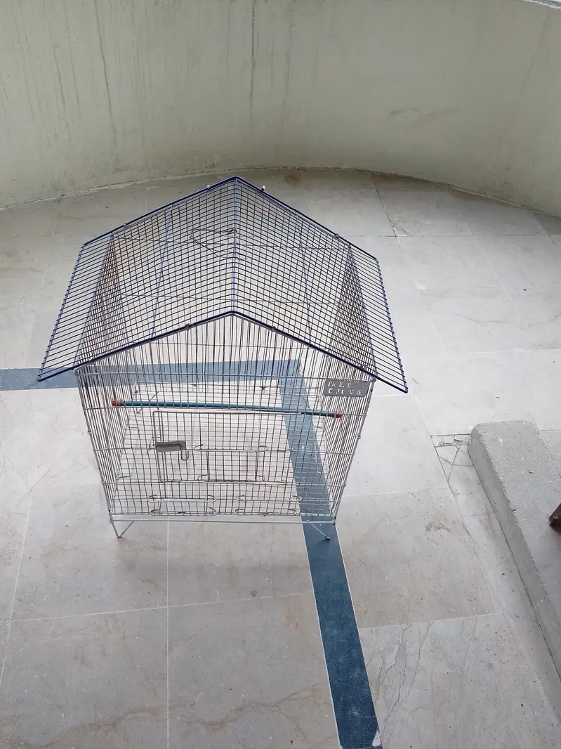 parrot's cage for sale — photo 2