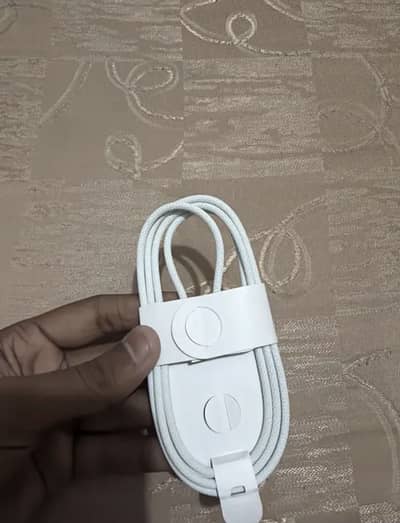 17 pro max cable