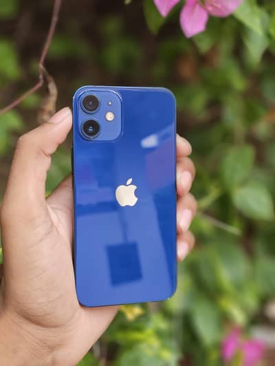 iPhone 12 mini