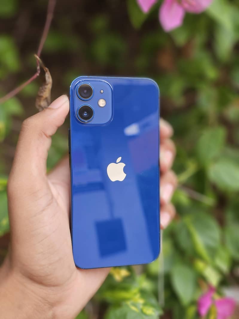iPhone 12 mini 1