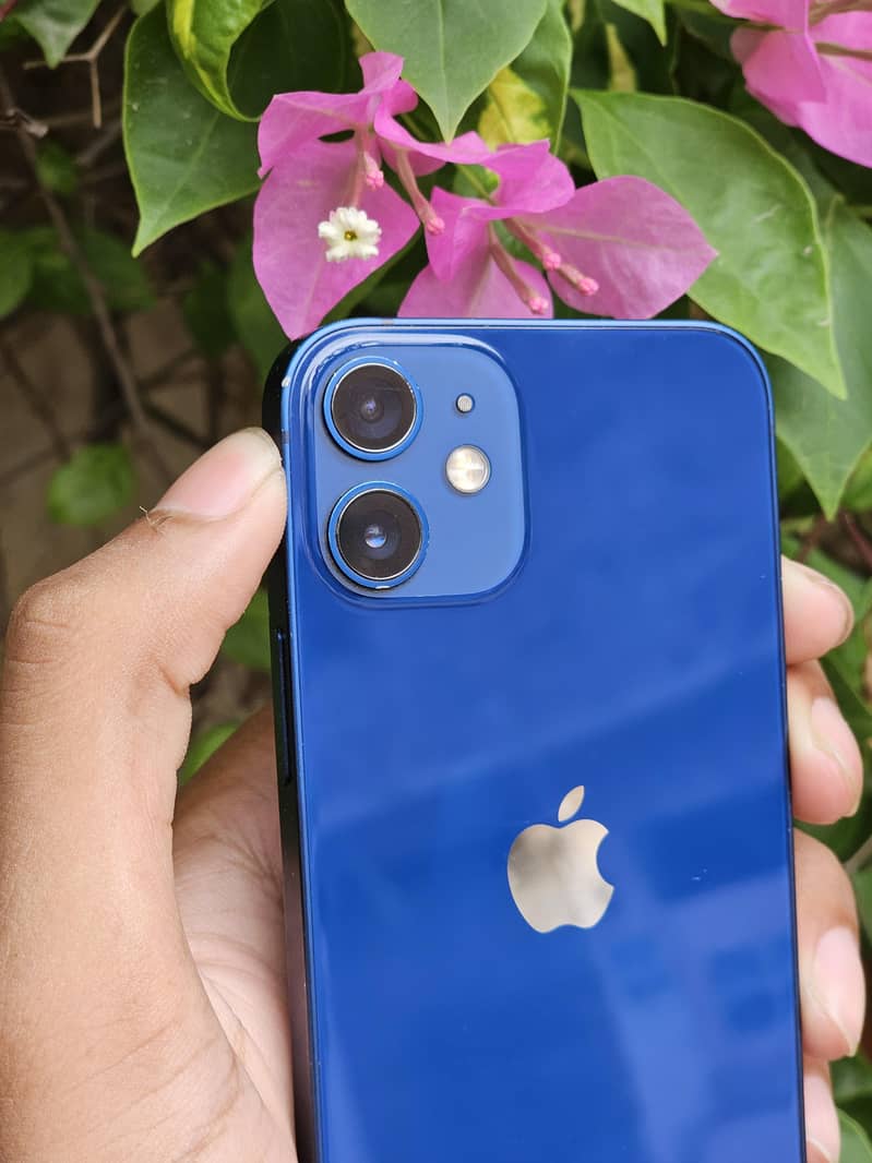 iPhone 12 mini 2