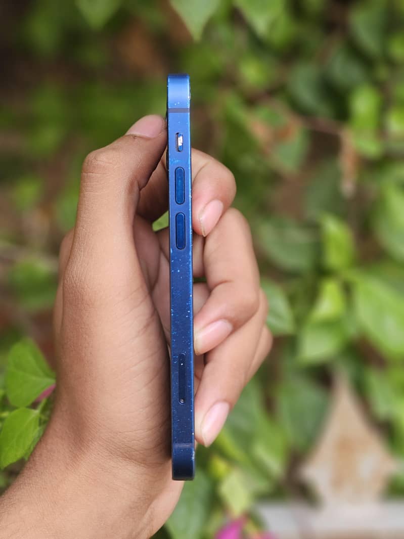 iPhone 12 mini 3