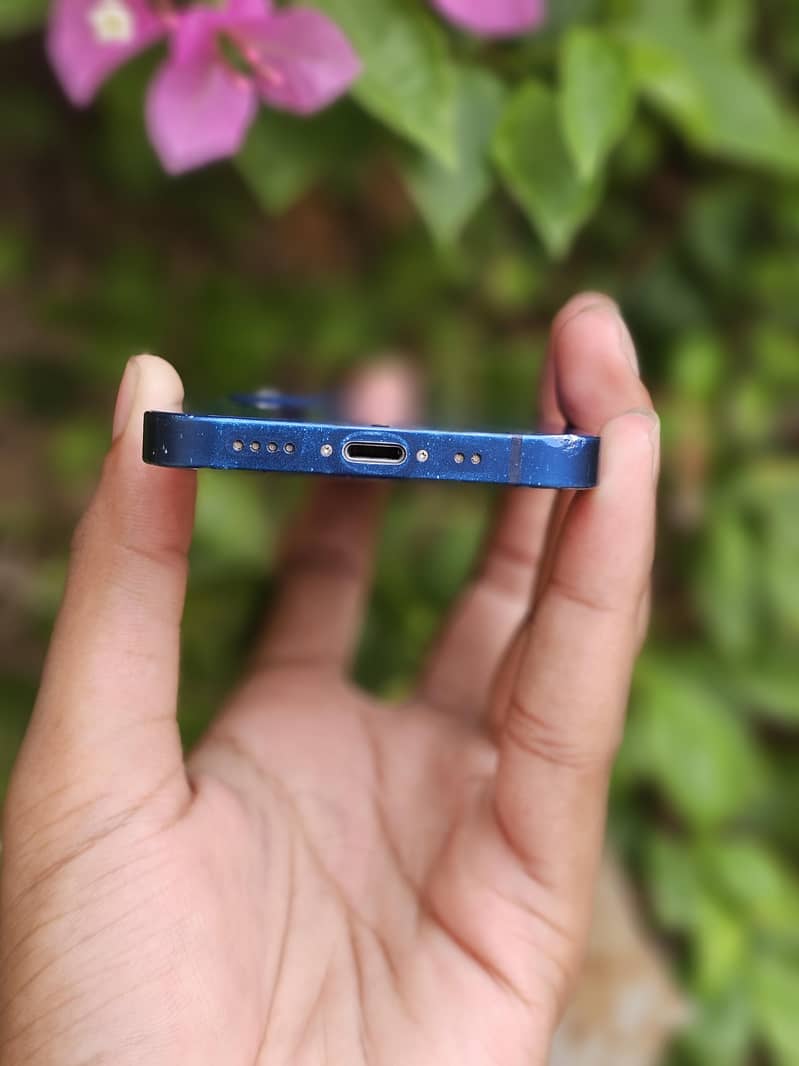 iPhone 12 mini 5