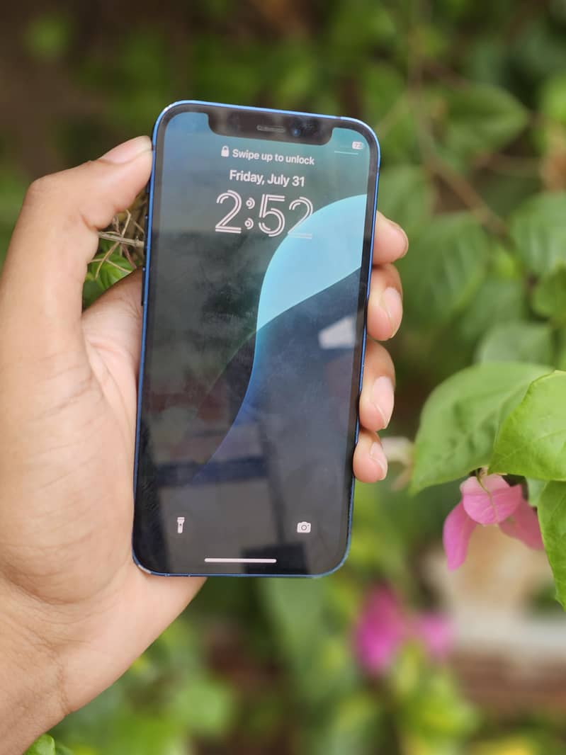 iPhone 12 mini 6