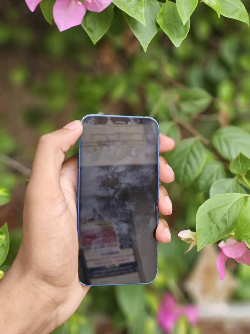 iPhone 12 mini 7