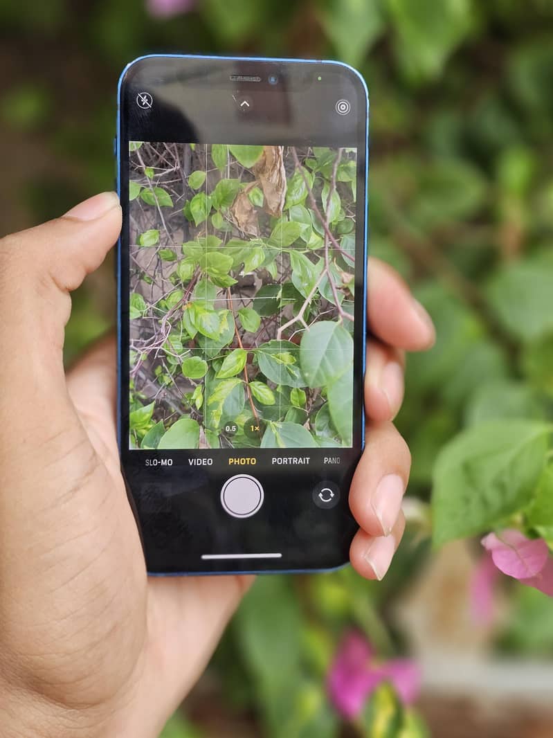 iPhone 12 mini 8