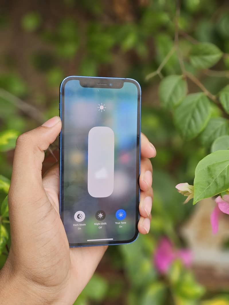 iPhone 12 mini 10
