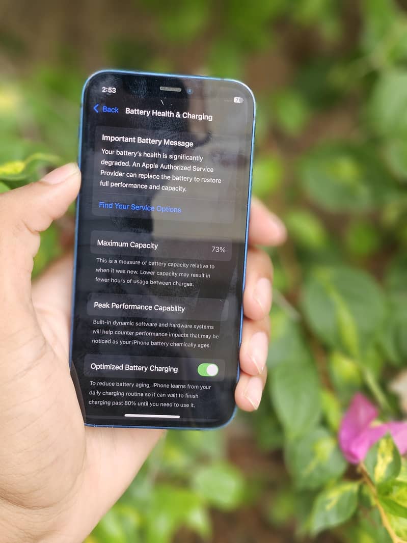 iPhone 12 mini 11