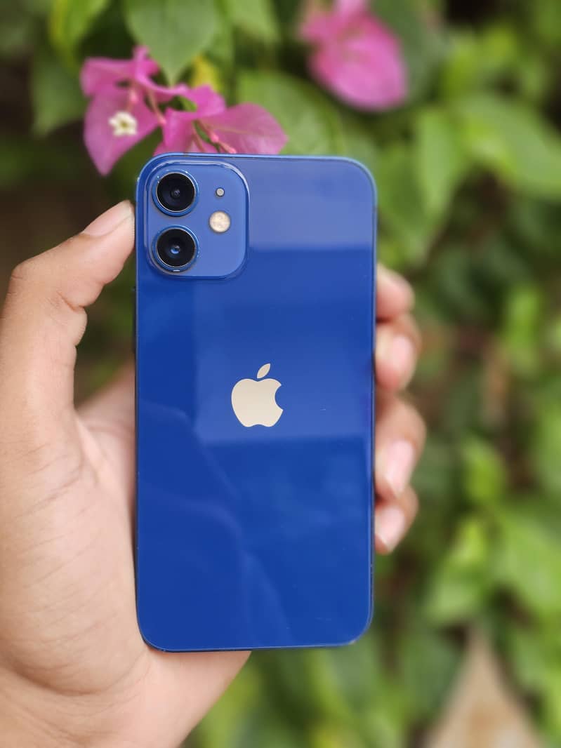 iPhone 12 mini 12