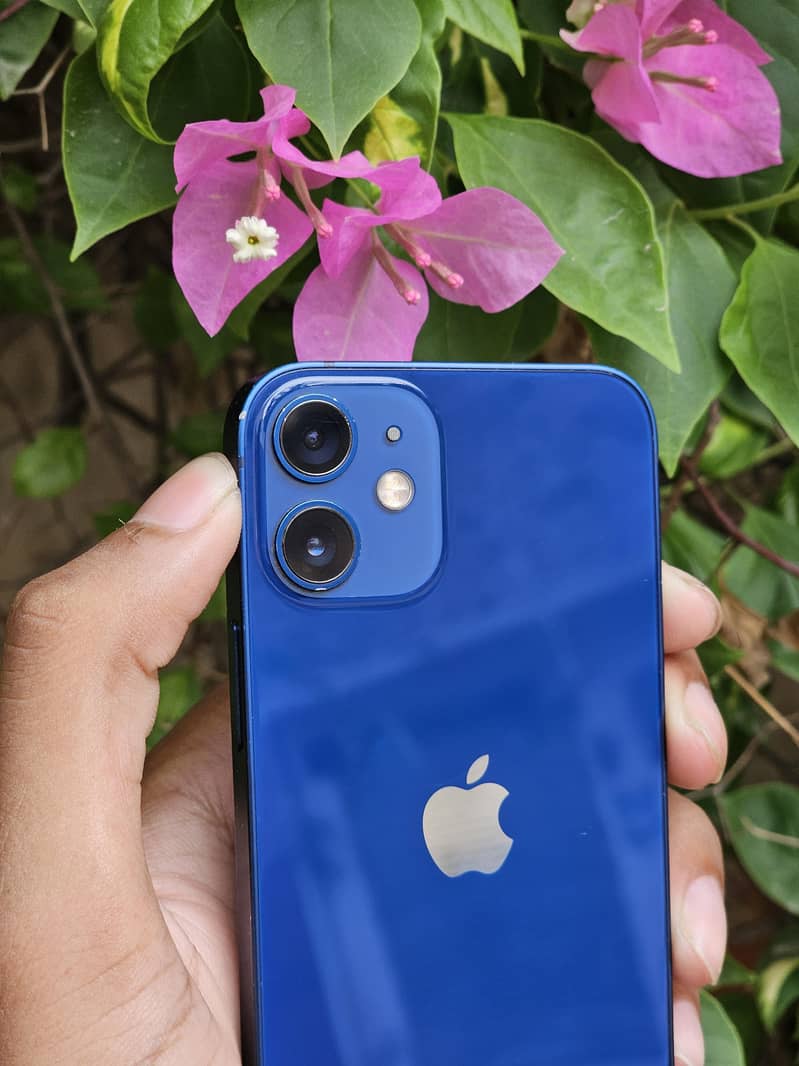 iPhone 12 mini 13