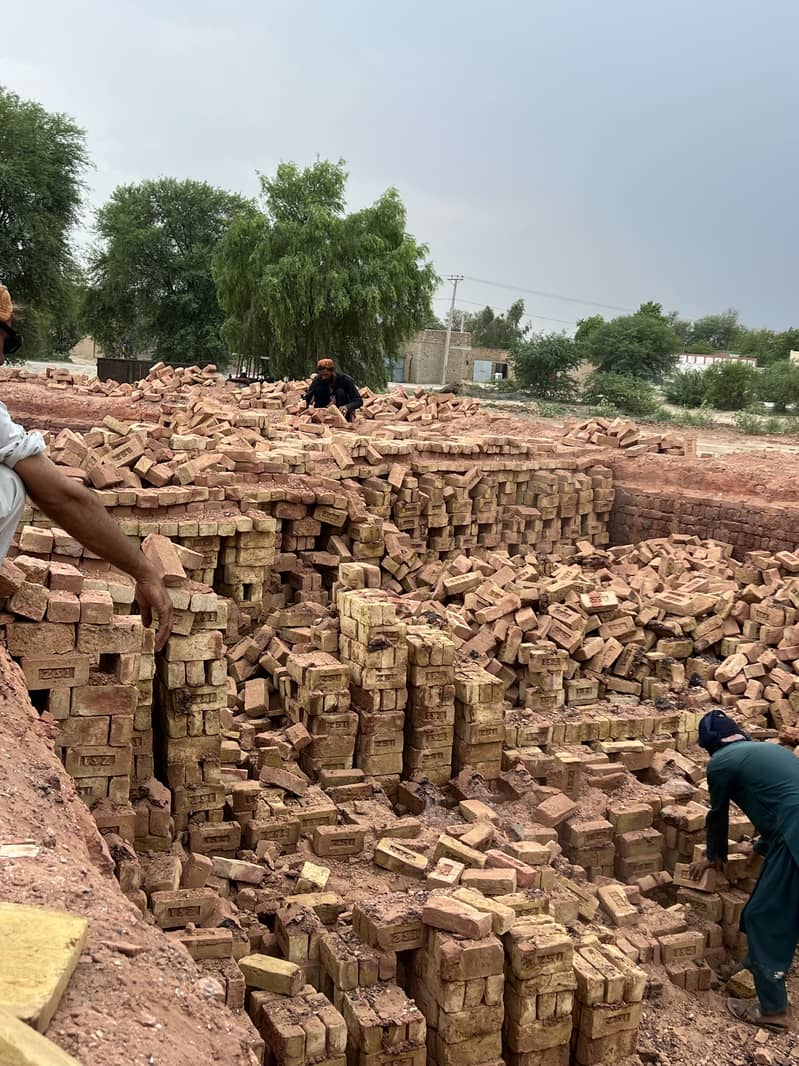 Bricks 1