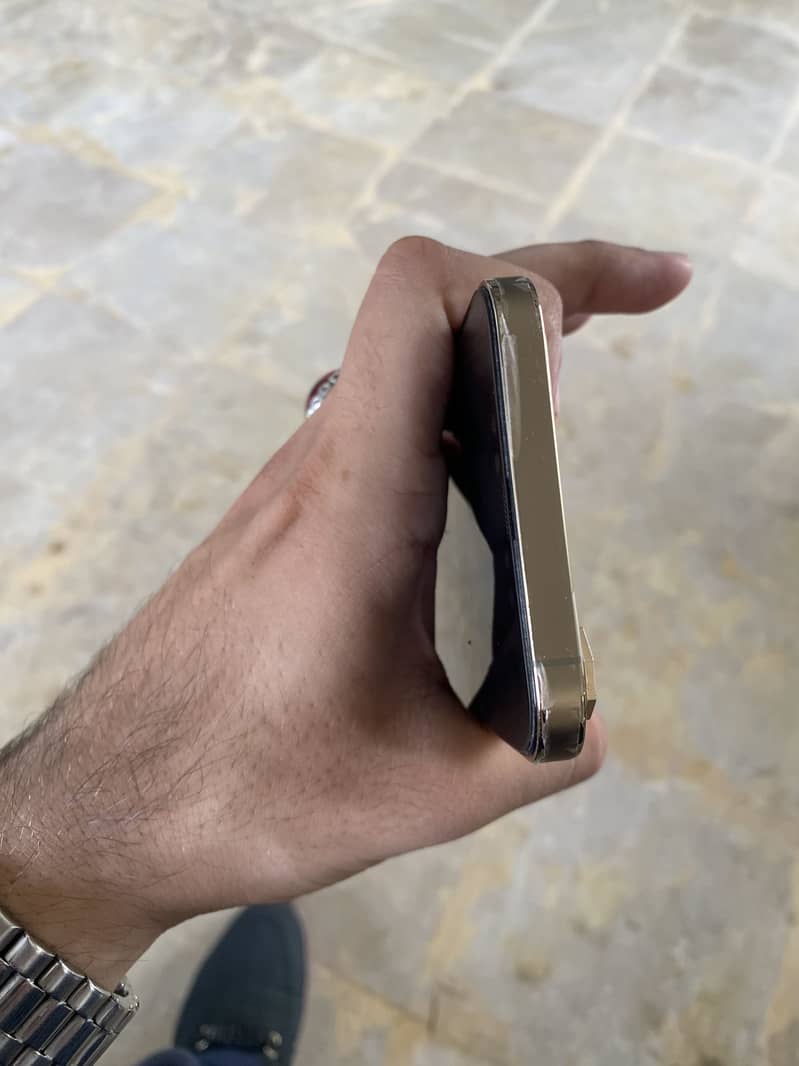 Apple iPhone 12 Pro Max 0