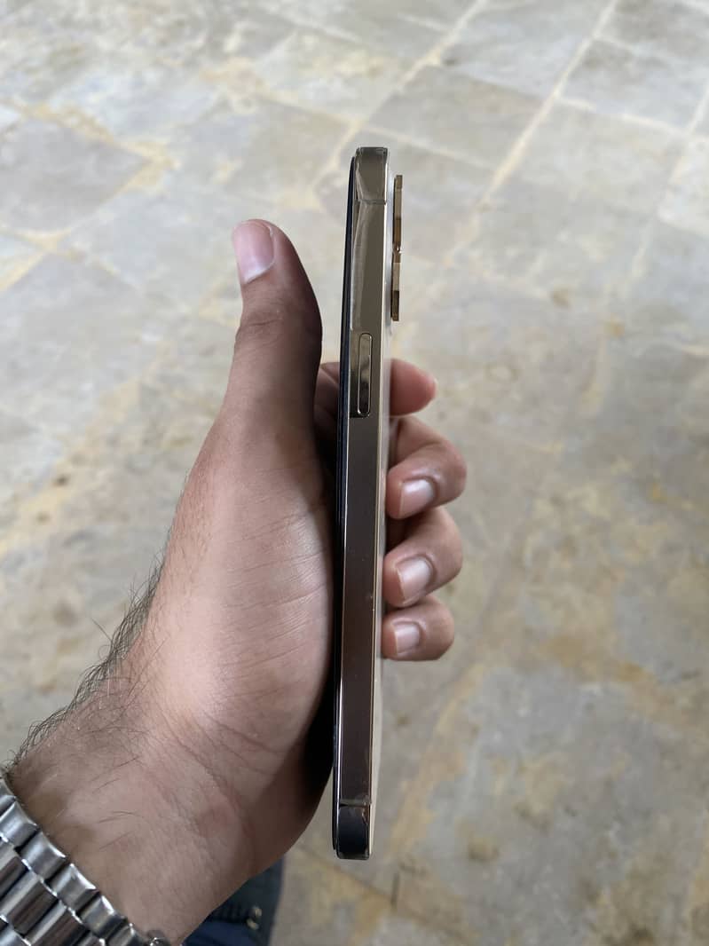 Apple iPhone 12 Pro Max 1